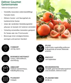 Dehner Gourmet Garten Gemüse-Set Kleiner Balkon, 3-teilig