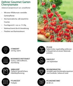 Dehner Gourmet Garten Gemüse-Set Kleiner Balkon, 3-teilig