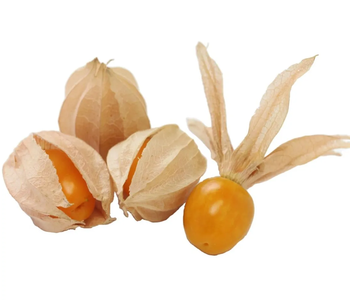 Dehner Gourmet Garten Goldandenbeere