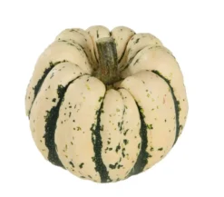 Dehner Gourmet Garten Heart of Gold-Kürbis