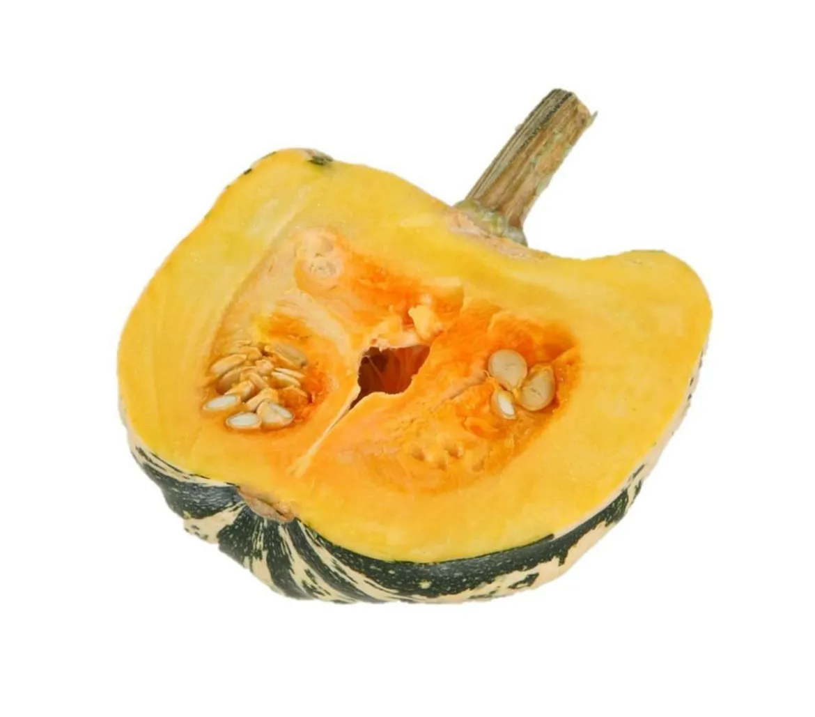 Dehner Gourmet Garten Heart of Gold-Kürbis