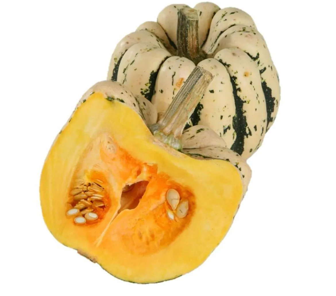 Dehner Gourmet Garten Heart of Gold-Kürbis