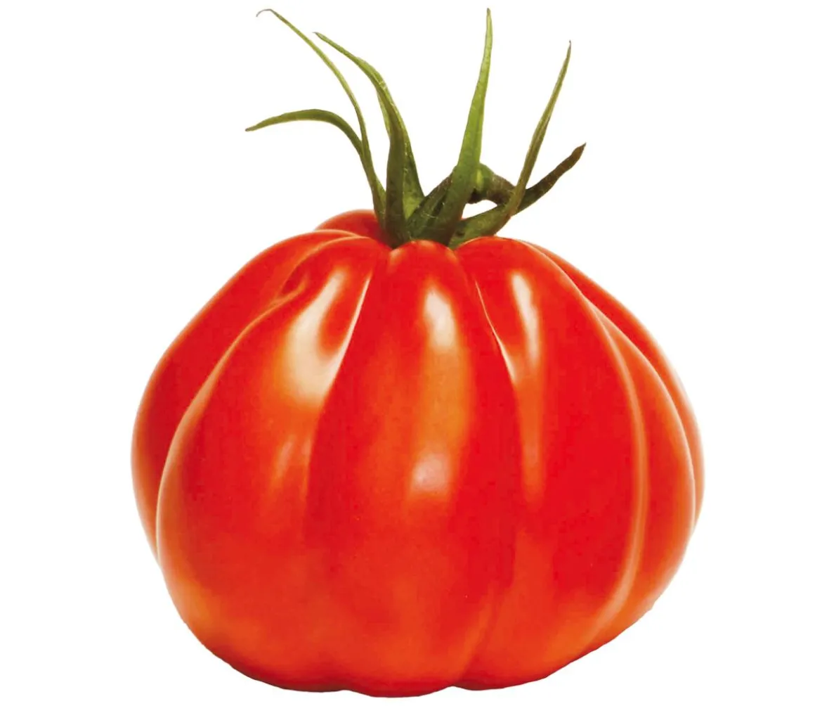 Dehner Gourmet Garten Ochsenherztomate, veredelt
