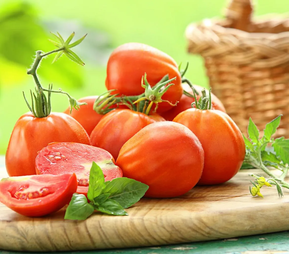 Dehner Gourmet Garten Ochsenherztomate, veredelt