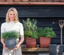 Dehner Gourmet Garten Oregano