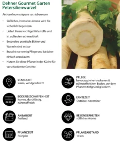 Dehner Gourmet Garten Petersilienwurzel