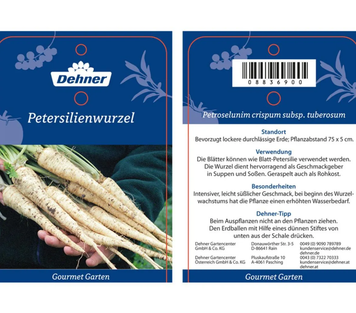 Dehner Gourmet Garten Petersilienwurzel