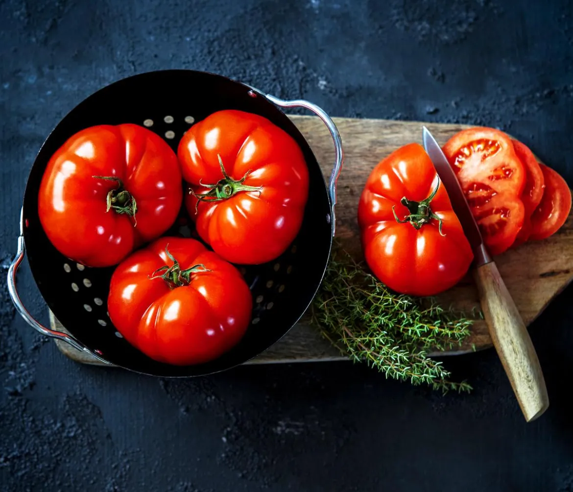 Dehner Gourmet Garten Riesen Steaktomate, veredelt