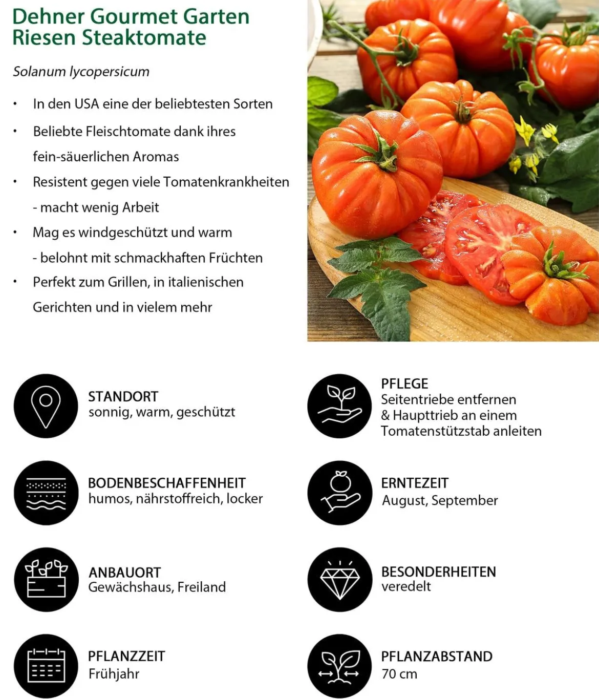 Dehner Gourmet Garten Riesen Steaktomate, veredelt