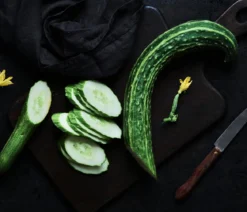Dehner Gourmet Garten Schlangengurke, veredelt