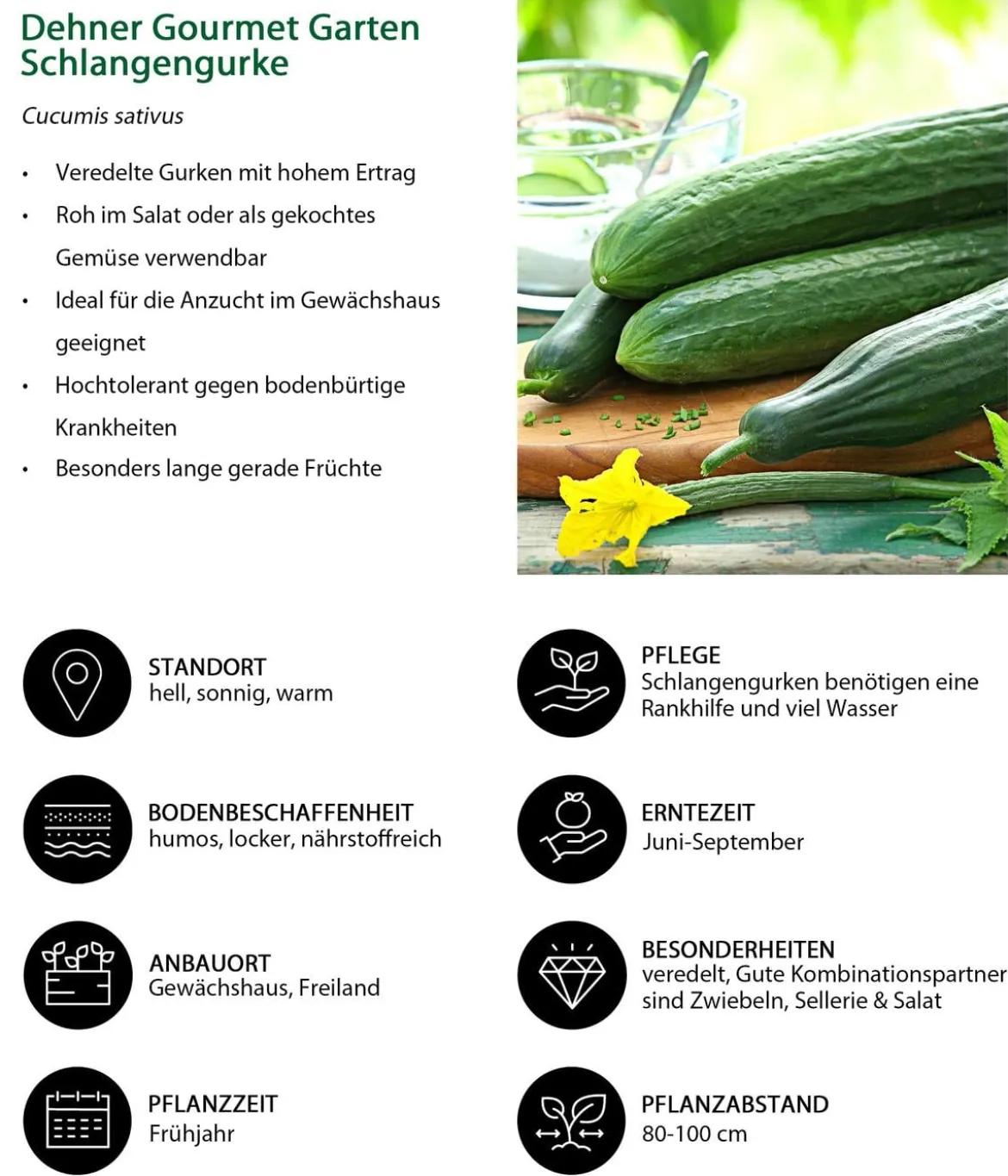 Dehner Gourmet Garten Schlangengurke, veredelt