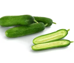Dehner Gourmet Garten Snackgurke, veredelt