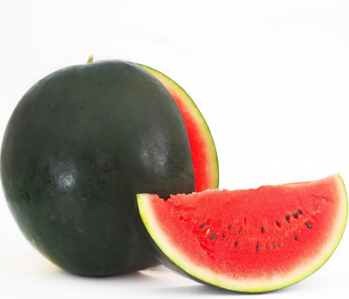 Dehner Gourmet Garten Wassermelone, veredelt