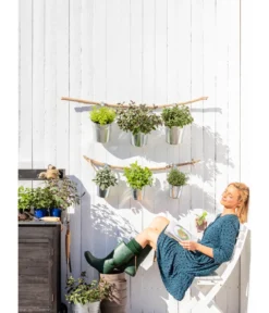 Dehner Gourmet Garten Zitronenmelisse