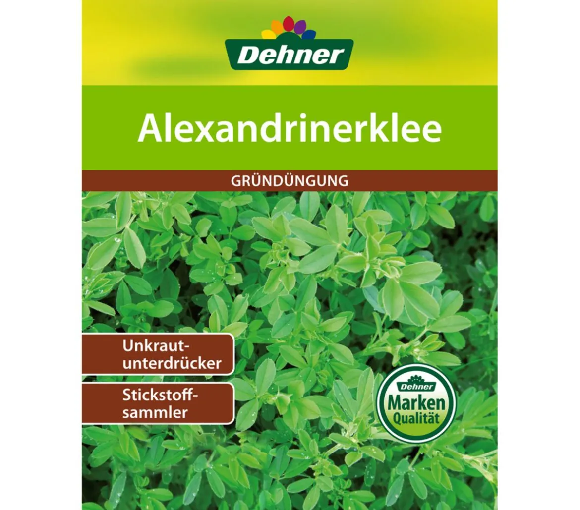 Dehner Gründüngung Alexandrinerklee, 50 g