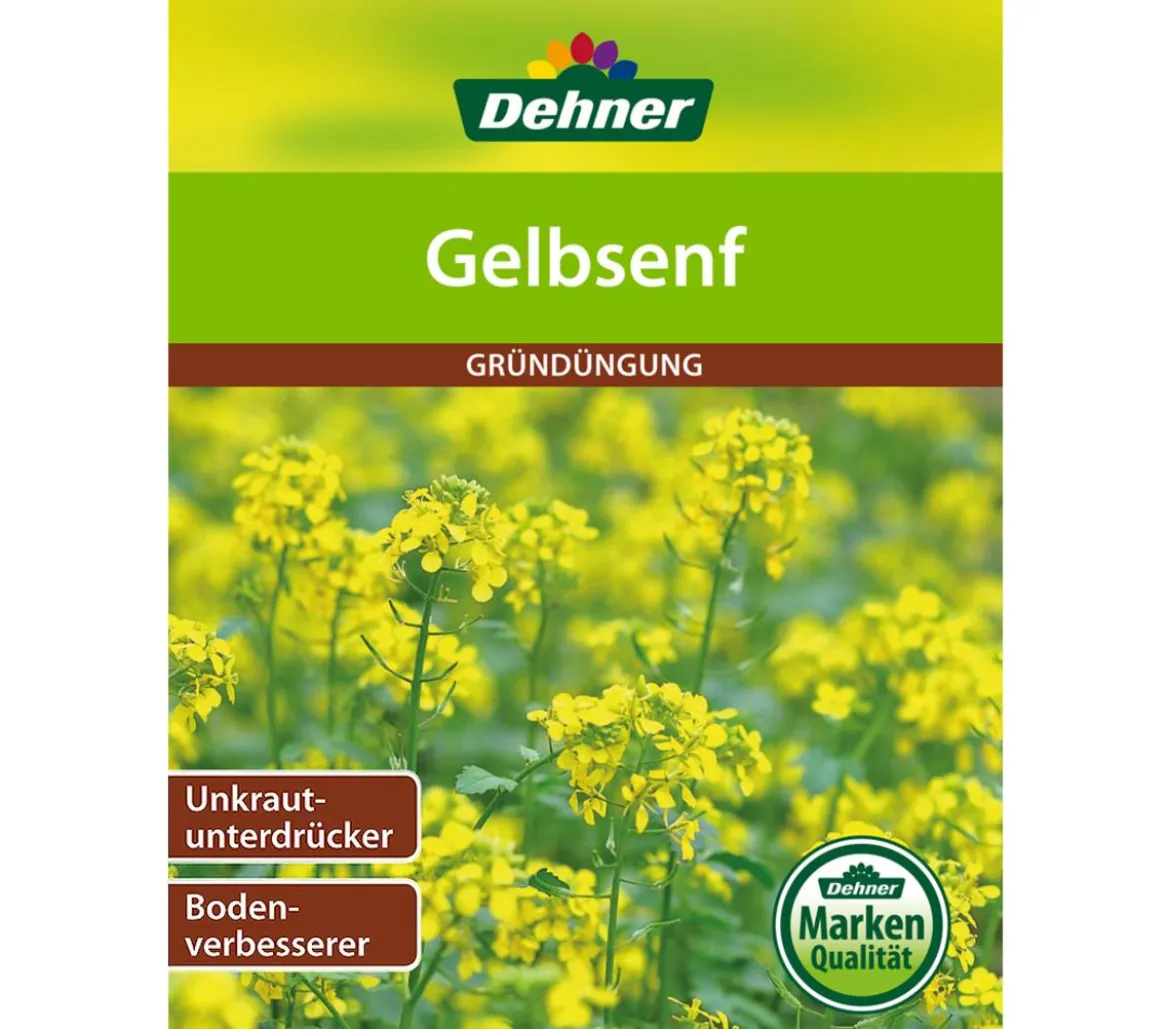 Dehner Gründüngung Gelbsenf, 80 g