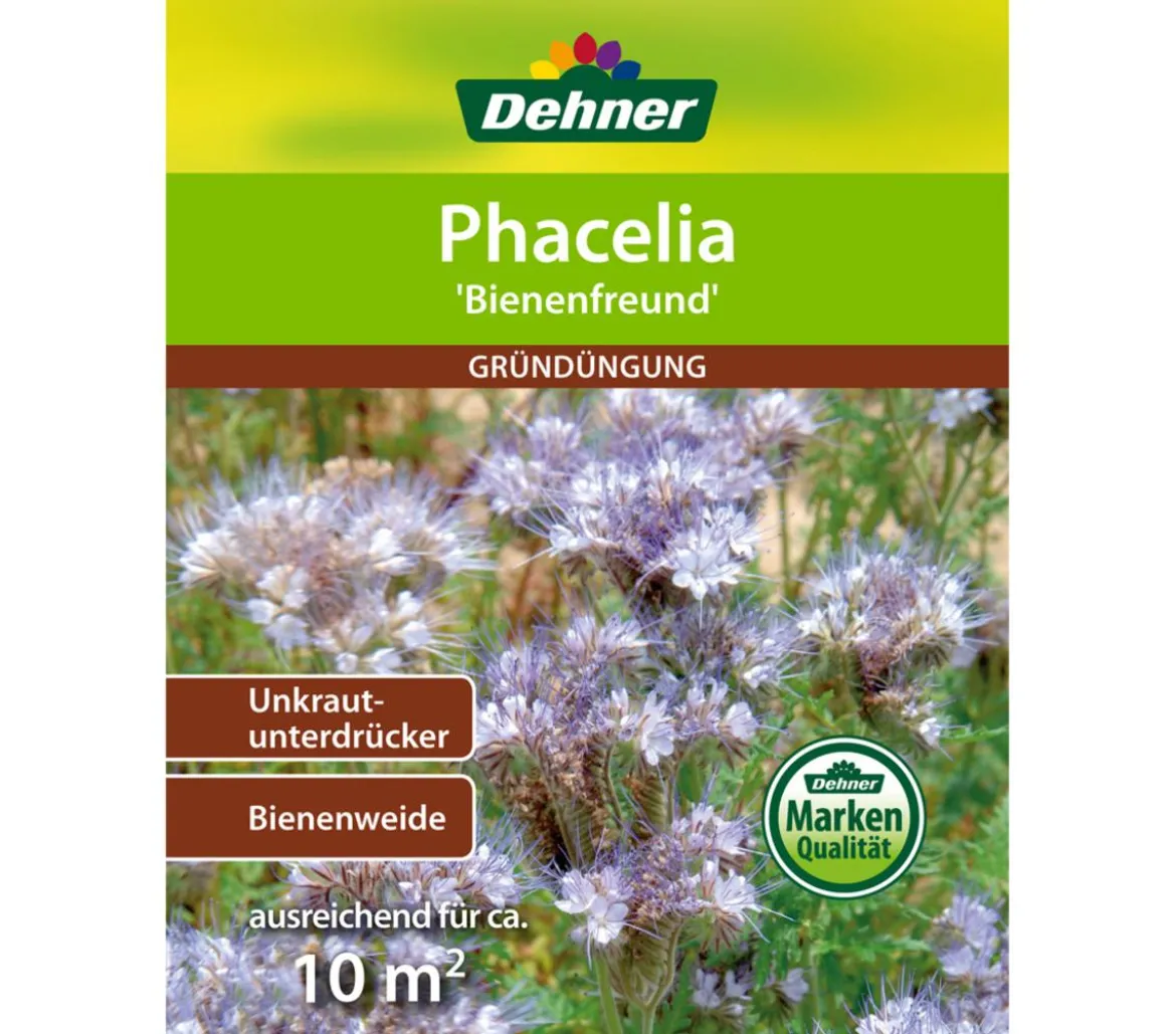 Dehner Gründüngung Phacelia/Bienenfreund, 40 g