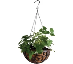 Dehner Gusseisen-Hängeampel Katalonien mit Kokoseinlage, rund, rost, ca. Ø30/H15 cm