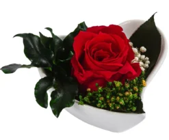 Dehner Herzschale mit Longlife-Rose Aneta, ca. B8/H5 cm