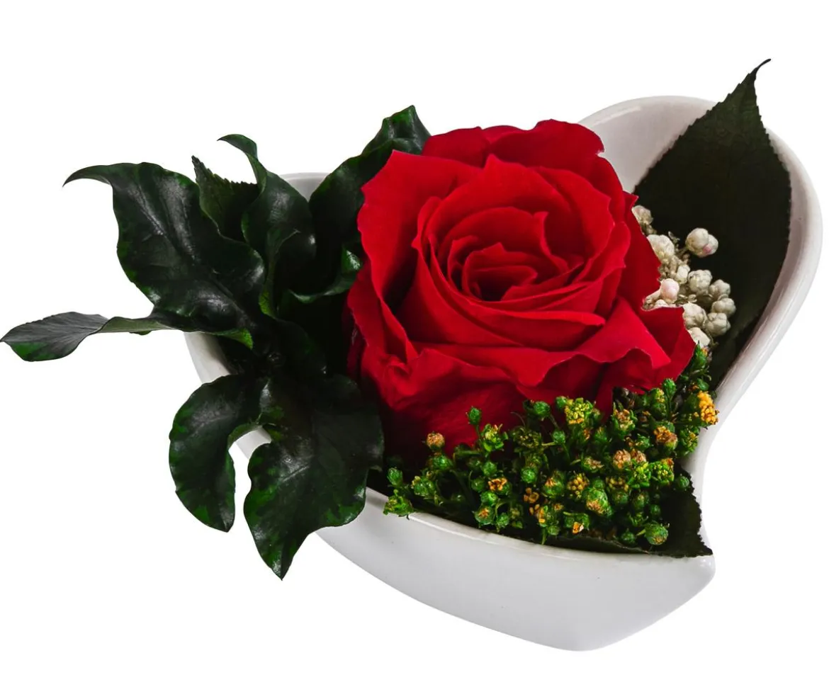 Dehner Herzschale mit Longlife-Rose Aneta, ca. B8/H5 cm