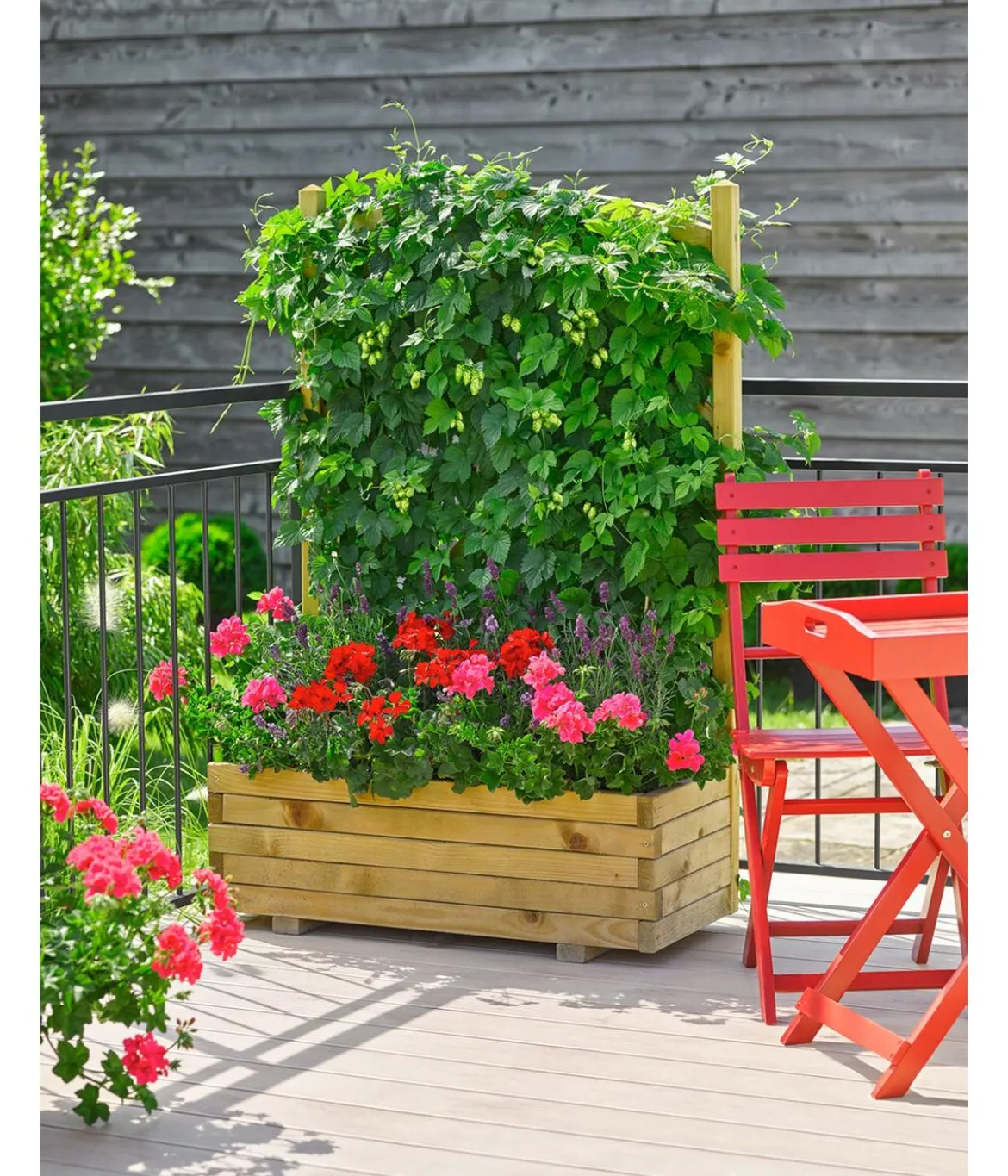 Dehner Holz-Blumenkasten mit Spalier Wachau, B90/H140/T40 cm