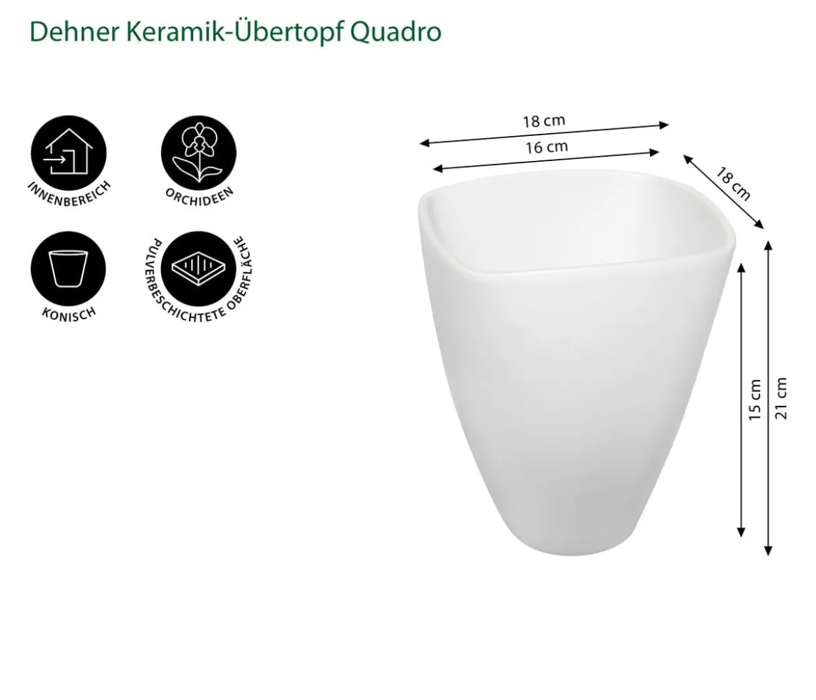 Dehner Keramik-Übertopf Quadro, konisch