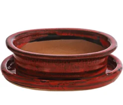 Dehner Keramik-Bonsaischale, oval, rot