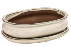 Dehner Keramik-Bonsaischale, oval, ca. B19/H5/T13,5 cm