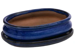 Dehner Keramik-Bonsaischale, oval, ca. B19/H5/T13,5 cm