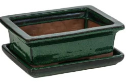 Dehner Keramik-Bonsaischale, rechteckig, ca. B18/H6/T14 cm
