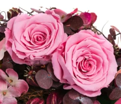 Dehner Keramik-Jardiniere mit Longlife-Rose Juna, rosa, ca. B23/H15/T12 cm