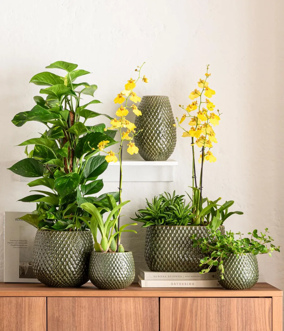 Dehner Keramik-Jardiniere Tamir, bauchig, ca. B28/H16/T16 cm