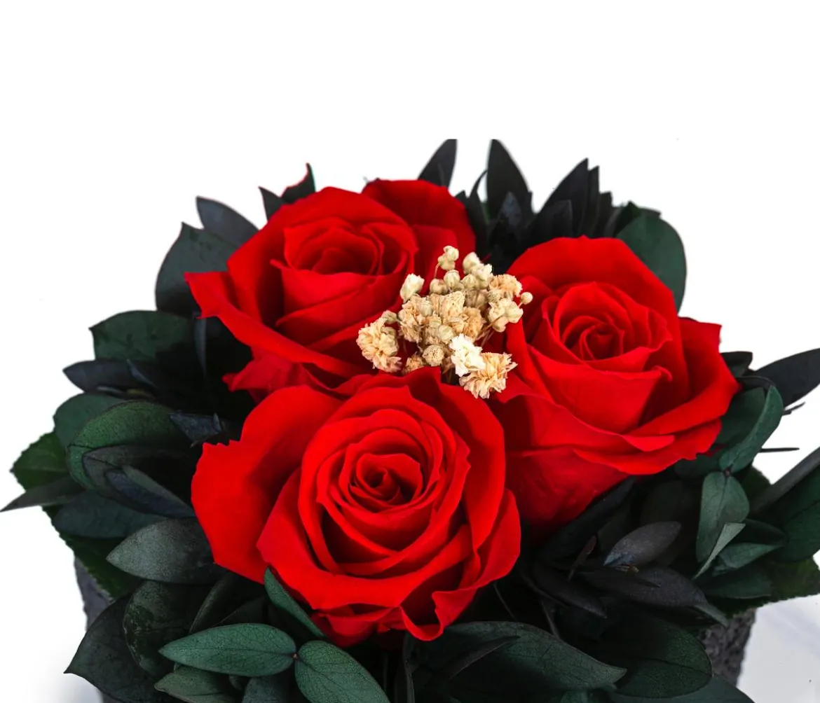 Dehner Keramik-Schale mit Longlife-Rose Izzy, ca. Ø12/H16 cm
