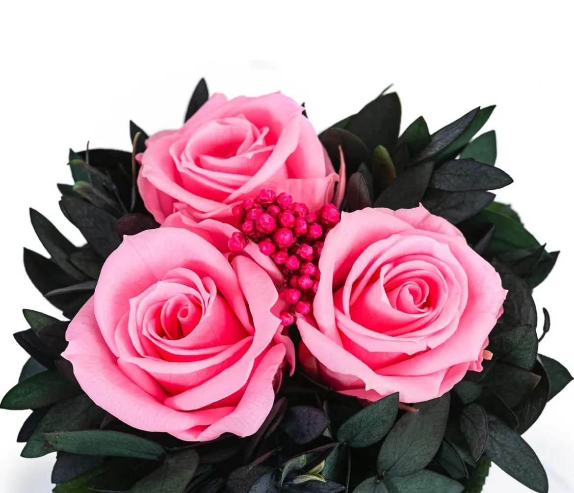 Dehner Keramik-Schale mit Longlife-Rose Izzy, ca. Ø12/H16 cm
