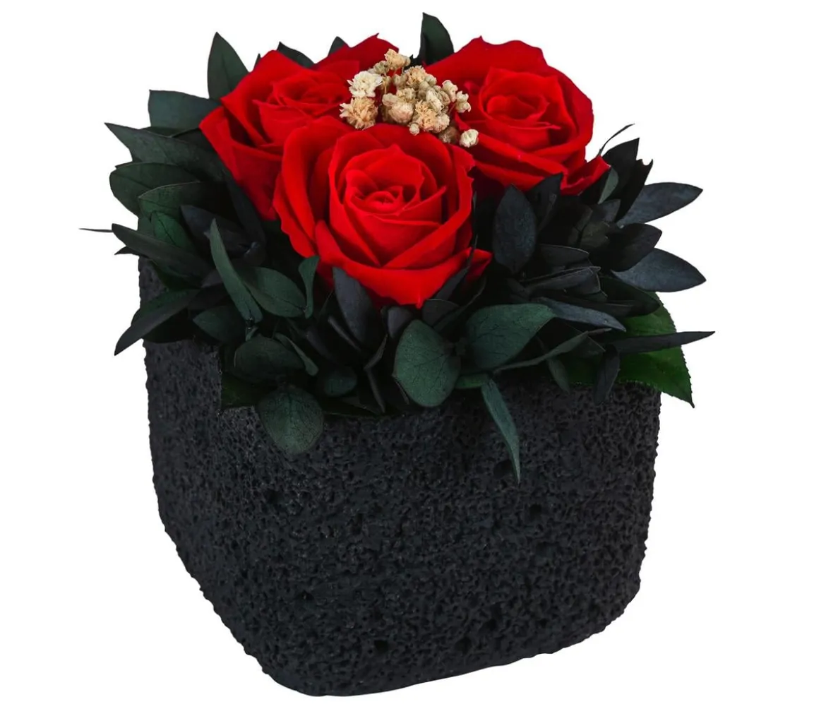 Dehner Keramik-Schale mit Longlife-Rose Izzy, ca. Ø12/H16 cm