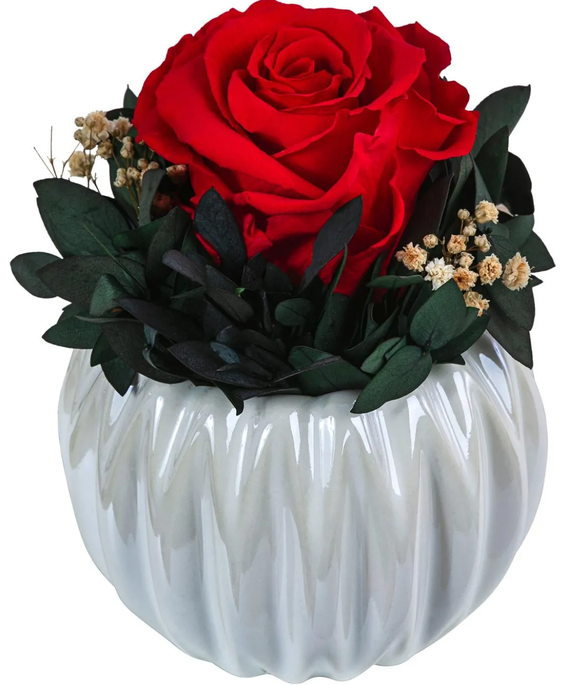 Dehner Keramik-Schale mit Longlife-Rose Perla, ca. Ø12/H16 cm