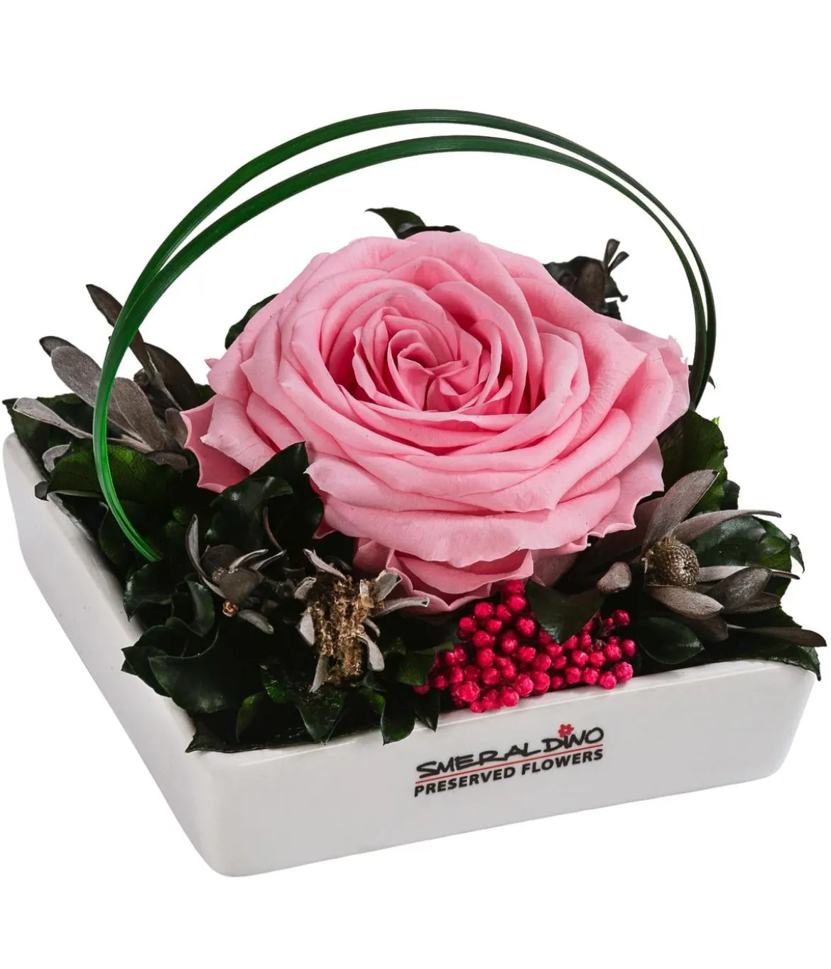 Dehner Keramik-Schale mit Longlife-Rose Dita, ca. B10/H11/T10 cm