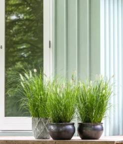 Dehner Keramik-Topf Bavaria, bauchig