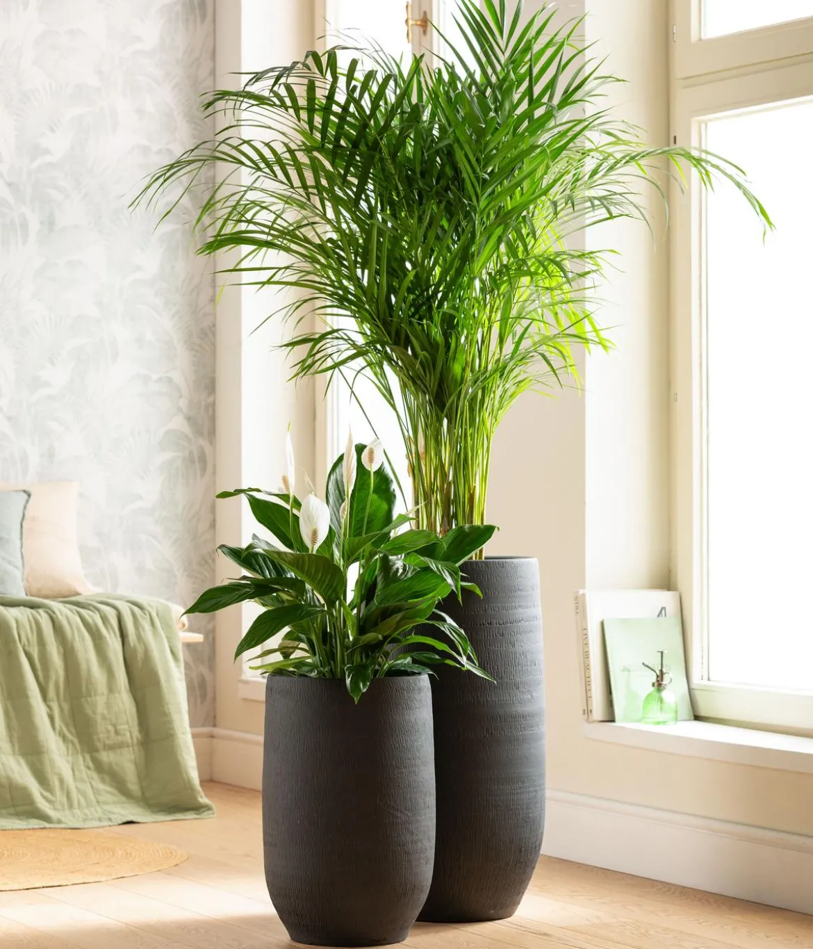 Dehner Keramik-Vase Alex, rund, dunkelgrau