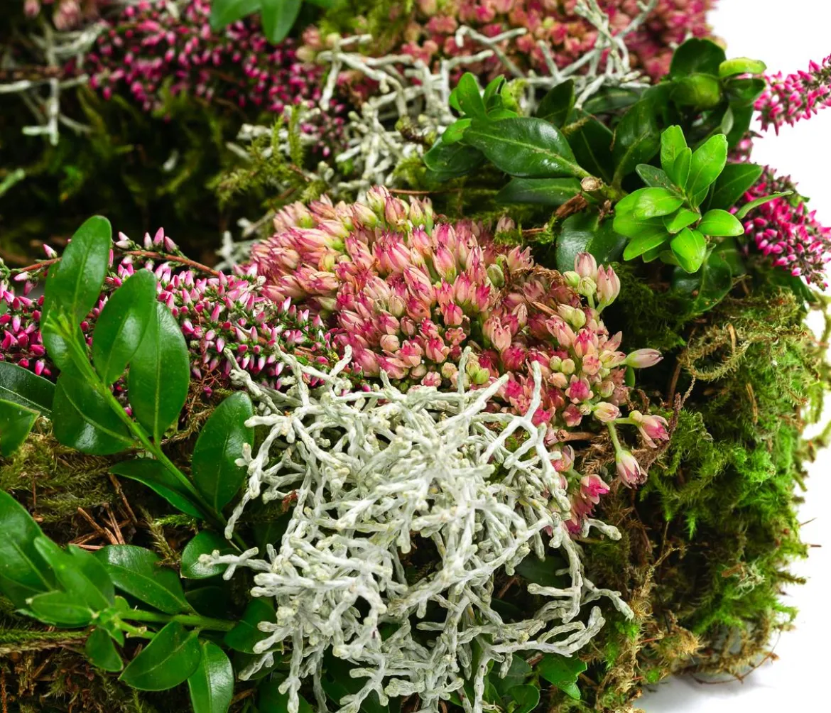 Dehner Kranz Sedum, ca. Ø28 cm