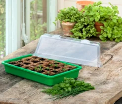 Dehner Kräuterhaus Komplett-Set, ca. B38/H18/T24 cm