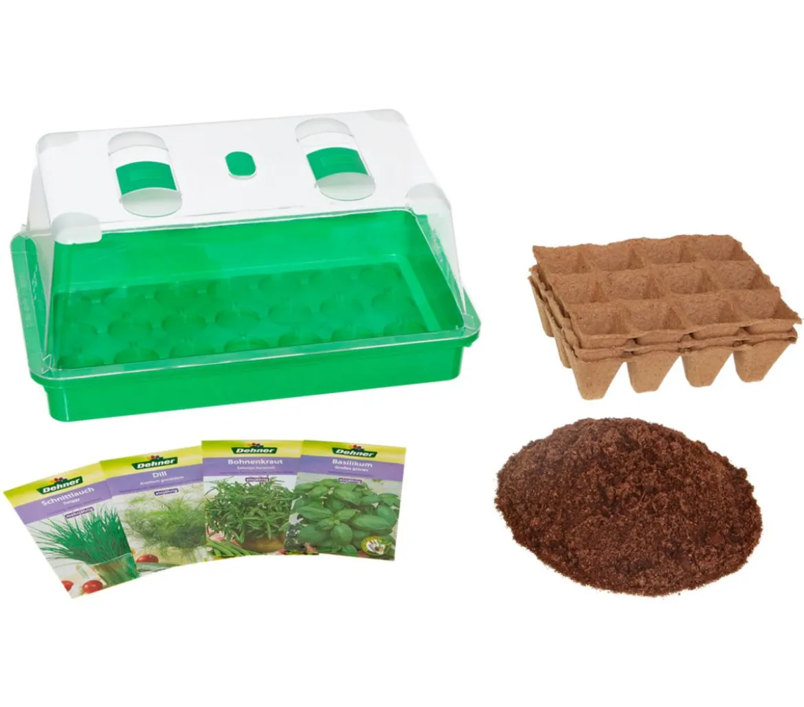 Dehner Kräuterhaus Komplett-Set, ca. B38/H18/T24 cm