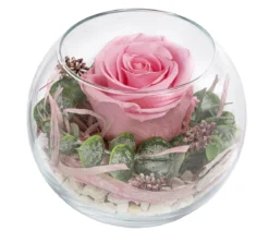 Dehner Kugelglas mit Longlife-Rose Doris, rosa, ca. Ø10/H12 cm