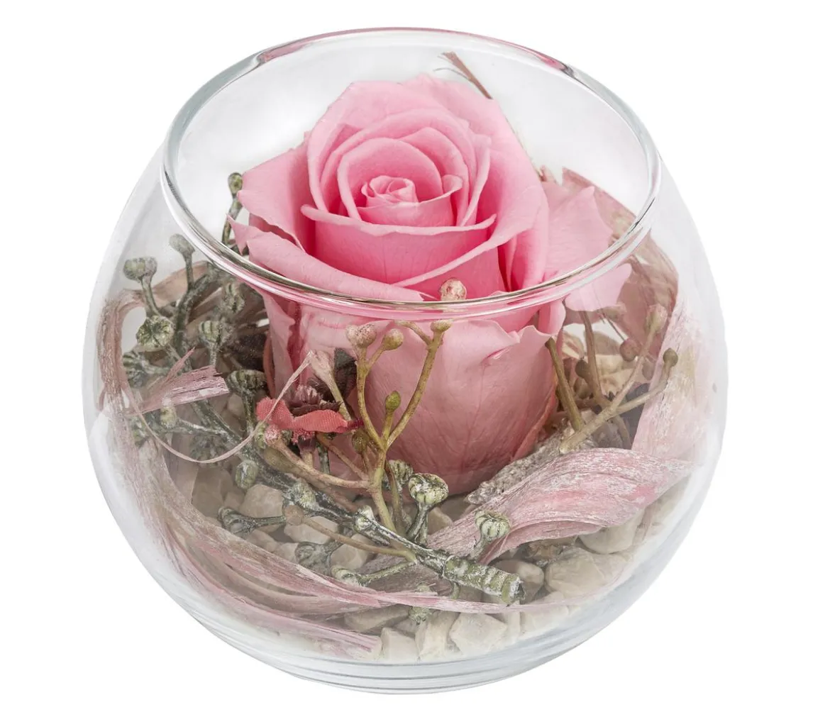 Dehner Kugelglas mit Longlife-Rose Annabell, rosa, ca. Ø10/H10 cm