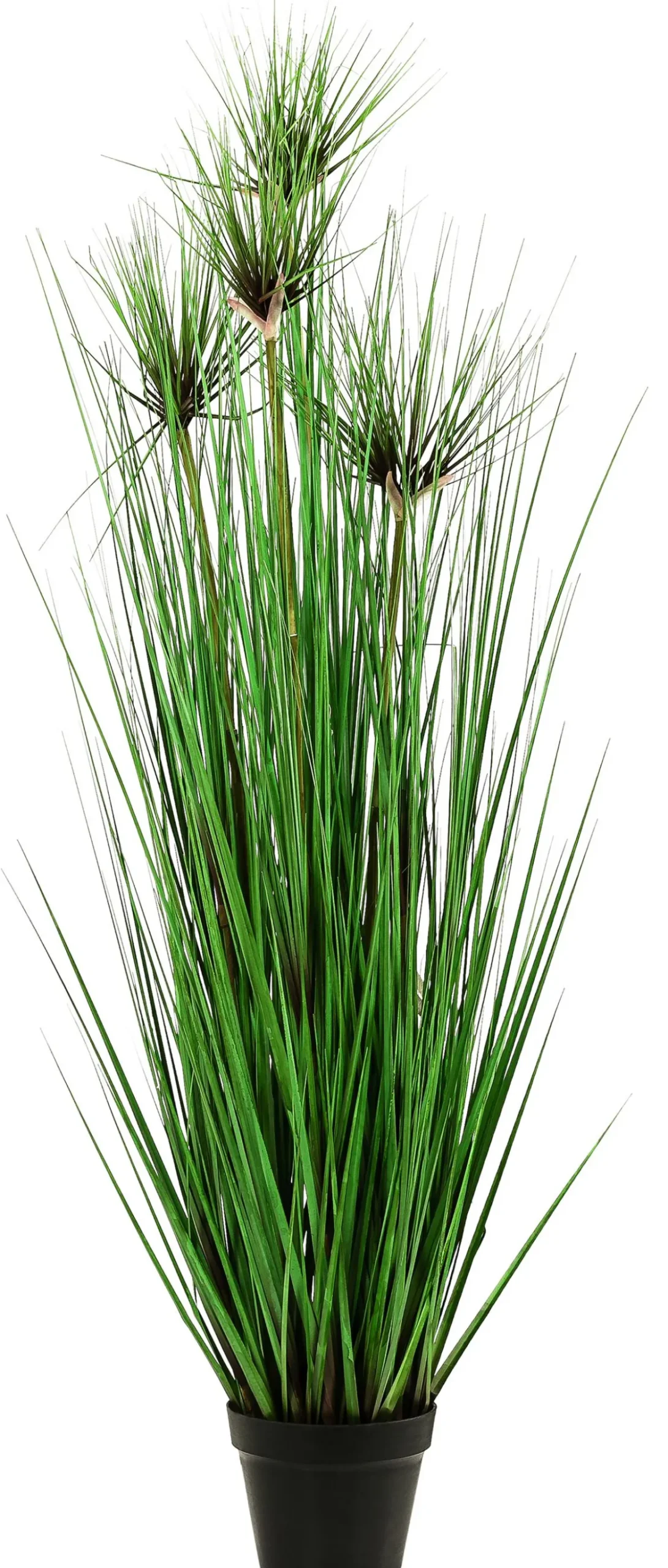 Dehner Kunstpflanze Gras