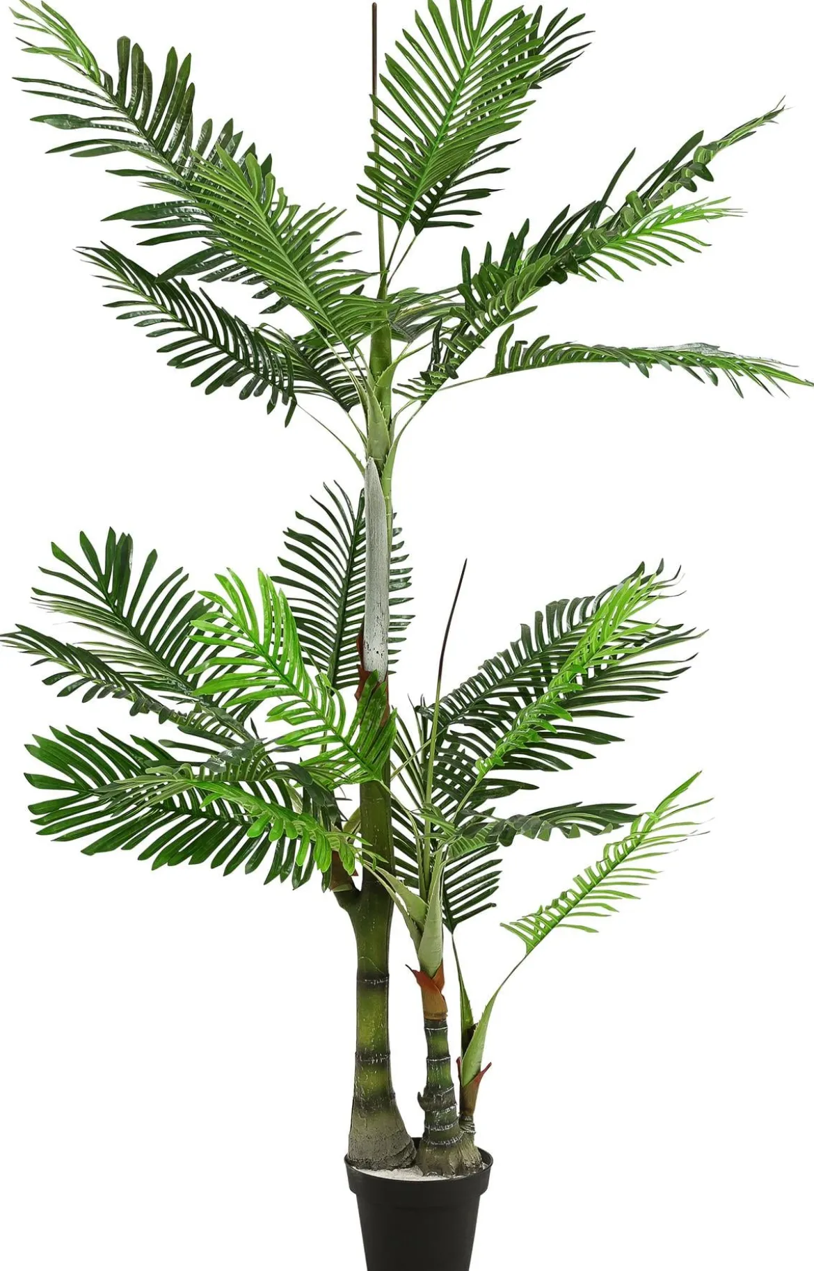 Dehner Kunstpflanze Palme, 190 cm