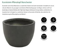 Dehner Kunststein-Pflanztopf Manchester, rund, antik-schwarz