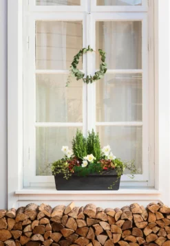 Dehner Kunststoff-Blumenkasten Pisa, ca. B60/H20/T20 cm, anthrazit