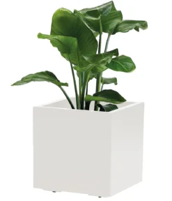 Dehner Kunststoff-Topf Kebe, quadratisch, ca. B40/H40/T40 cm