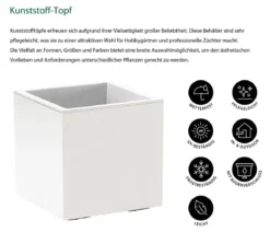 Dehner Kunststoff-Topf Kebe, quadratisch, ca. B40/H40/T40 cm
